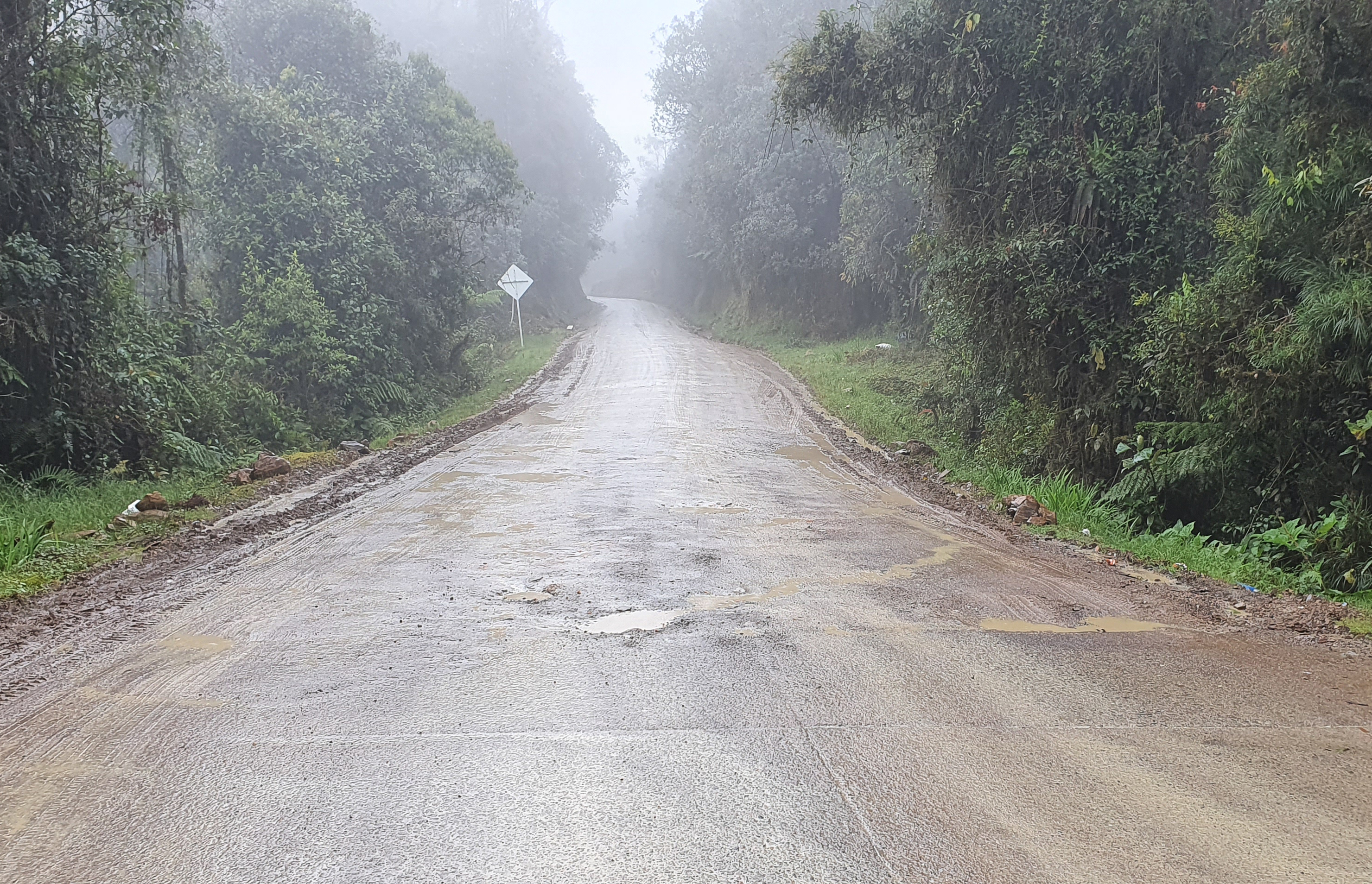 RUTA2002PR83+0101.jpg